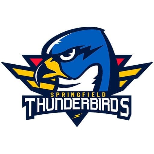 Charlotte Checkers vs. Springfield Thunderbirds
