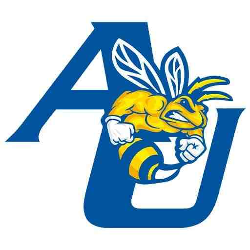 Allen University Yellow Jackets