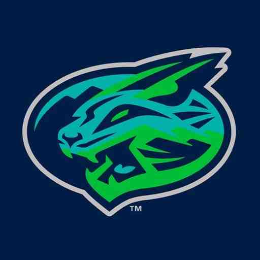 Lynchburg Hillcats