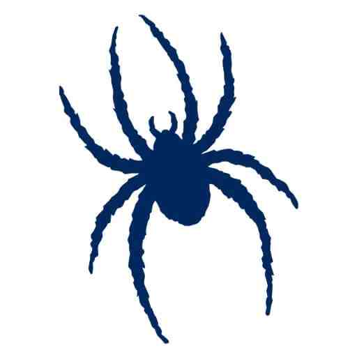 Richmond Spiders Basketball